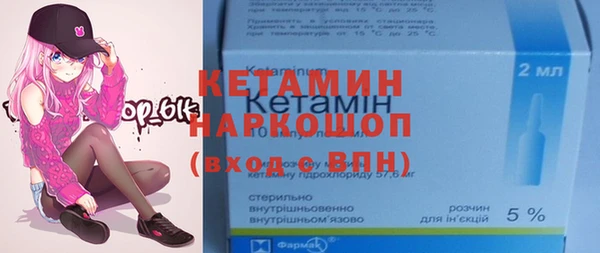 индика Гусев