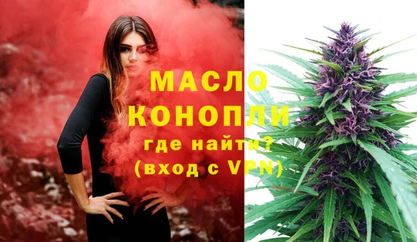 индика Гусев