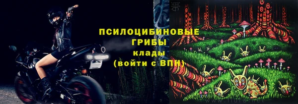 ПСИЛОЦИБИНОВЫЕ ГРИБЫ Гусь-Хрустальный