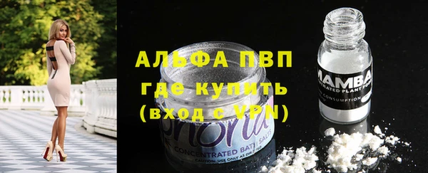 стафф Горно-Алтайск