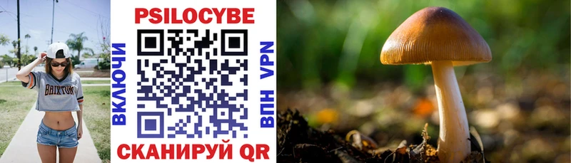 Галлюциногенные грибы Cubensis  Купить закладки  Котельники 